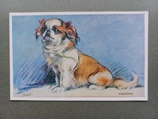 1930s pekingese dog for sale  KING'S LYNN