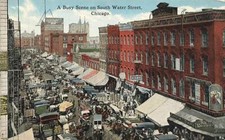 C1910 birds eye for sale  Mansfield
