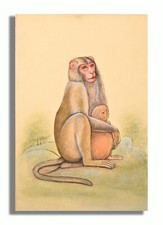 Adorable Madre Y Bebé Mono Macaco Pintura 8.8 X 6 Pulgadas "PN13374" comprar usado  Enviando para Brazil