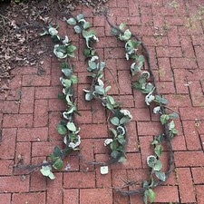 Bloom spring floral for sale  State College