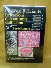Chiarugi bucciante edizione usato  Latina