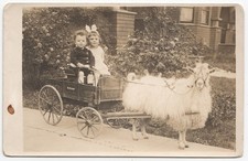 Rppc kids goat for sale  Ukiah