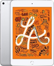 Apple ipad mini gebraucht kaufen  Wyhl