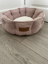 Small cat dog for sale  ST. HELENS