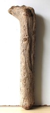terrarium holz gebraucht kaufen terrarium holz gebraucht kaufen Halblech