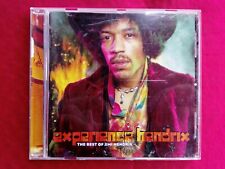 Musicale experience hendrix usato  Parma