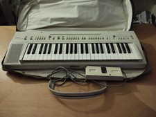 Yamaha tastiera portatile usato  Grugliasco