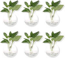 Pack glass planters for sale  Lakewood