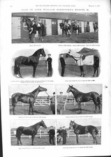 Vecchia vendita 1901 usato Vecchia vendita 1901 usato  Spedire a Italy