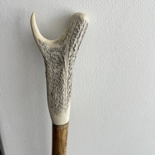 Red deer antler for sale  PEVENSEY