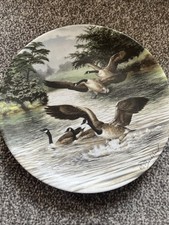 Royal worcester splashdown for sale  LINCOLN