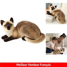 Simulation chaton mignon d'occasion  Matha