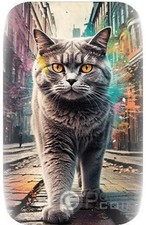 British shorthair london usato  Ciampino