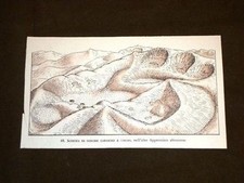 Schema appennino abruzzese usato  Villarosa