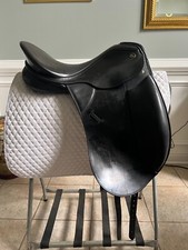 Kieffer zugspitze dressage for sale  Mcdonough