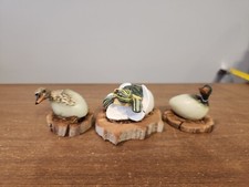 Ducklings turtle hatching for sale  Copiague