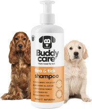 Shampoo per cani usato  Roma