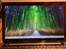 Toshiba satellite l50 gebraucht kaufen  Wahlstedt