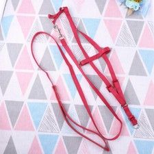 Bird harness parakeet for sale  Shipping to United Kingdom