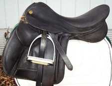 Rare crosby exselle for sale  Pennellville