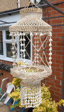 large cowrie shells for sale large cowrie shells for sale READING