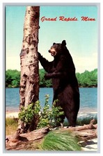 Vintage postcard minnesota for sale  Northridge