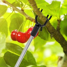Pcs fruit tree d'occasion  Expédié en Belgium