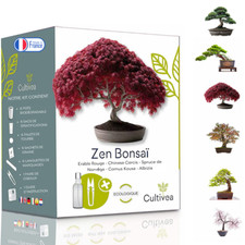 Kit culture bonsaï d'occasion  Boves