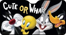 Parasole auto looney usato  Seregno
