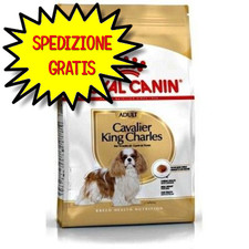 Royal canin cane usato  San Felice Circeo