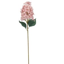 Delphinium long stem for sale  LONDON