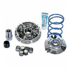 Kit variatore polini usato  Brusciano