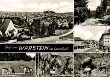 Warstein rtsansicht waldpartie gebraucht kaufen  Deutschland