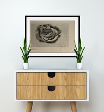 Pablo picasso original for sale  Orange Park
