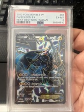 Zekrom ita psa usato  Italia