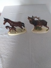 Pferd fohlen hirsch gebraucht kaufen  Ellrich