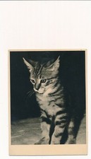 Vintage silver cat d'occasion  Expédié en Belgium