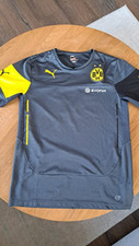 borussia dortmund shirt gebraucht kaufen borussia dortmund shirt gebraucht kaufen Bad Marienberg (Westerwald)
