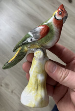 Bel oiseau perruche d'occasion  Ham
