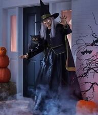 Animated classic witch for sale  Bensenville