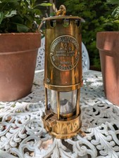 Protector lamp type for sale  BOURNE