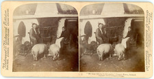 Stereo ireland county d'occasion  Pagny-sur-Moselle