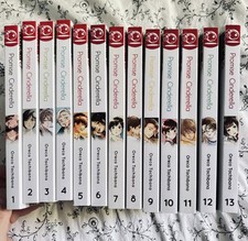 Promise cinderella tokyopop gebraucht kaufen  Meißen