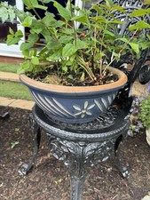 large indoor plant pots for sale large indoor plant pots for sale SOUTHAMPTON