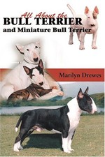Bull terriers miniature for sale  USA