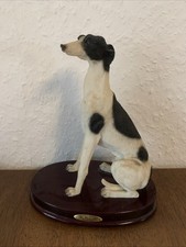 Greyhound windhund whippet gebraucht kaufen Greyhound windhund whippet gebraucht kaufen  Essen