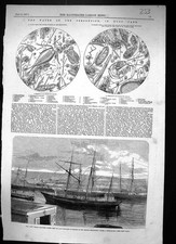 Old 1857 fox for sale  UK