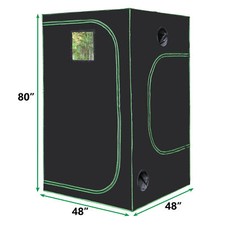 X48 x80 plant for sale  Memphis