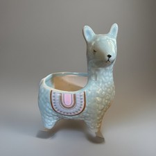 Llama alpaca succulent for sale  Metairie