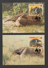 Paraguay 1985 wwf gebraucht kaufen  Eppelborn